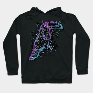 Toucan Constellation Hoodie